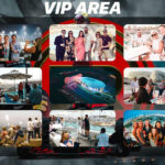 VIP Ticket